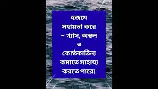 benefits of bay leaf | Daily life & Vlog | monoj baroi Vlog | People & Blogs |