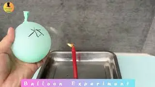 Fire Water Balloon - Cool Science Experiment 2023 || Balloon in a Candle Flame - Science Experiment