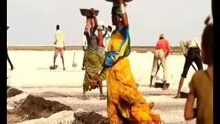 Salt workers in Rann of Kutch, Gujrat