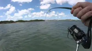 St Croix, USVI Fishing