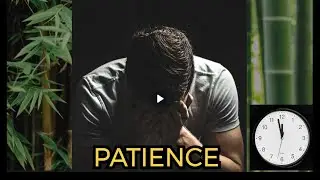 The bamboo plant: moral story of patience and perseverance