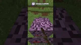 INSANE donut SMP duplication glitch