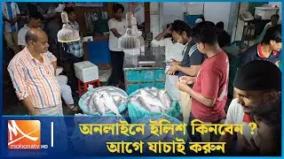 অনলাইনে ইলিশ কিনবেন? আগে যাচাই করুন | Hilsa Fish | Mohona TV
