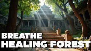 Deep Relaxation | Forest Temple | Calming Soundscape