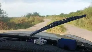 Camino boca cerrada Punta Lara #parati #pesca #puntalara #viralvideo