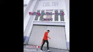 Falling on you - H$ Vsoul (BigD Cover) Prod. by COLD MELODY