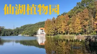 深圳仙湖植物园真实逛园体验｜Shenzhen Fairy Lake Botanical Garden Walk Tour
