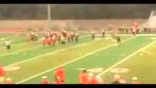 Logan wood highlights