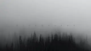 fate - black rose