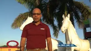 Caymanas Park Diamond Mile preview & more! | At The Track | Dec 8, 2016