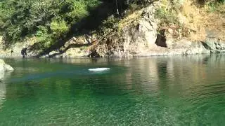 Greg Jumps Off Smith River South Fork Bridge