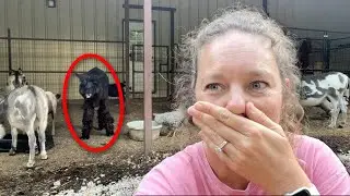 Серьёзно, Джерри? Что с тобой?!