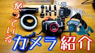【水中カメラ】インストラクターである私の愛用カメラを紹介します。
