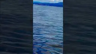 Vancouver boat ride #vancouver #canada #vancity #britishcolumbia #vancouverbc #bc #dailyhivevan #yvr