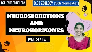 Neurosecretions and Neurohormones B. Sc Zoology 5th Semester DSE Endocrinology
