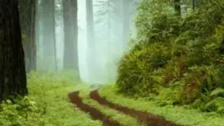 qadamu arsinegelle_0001.wmv