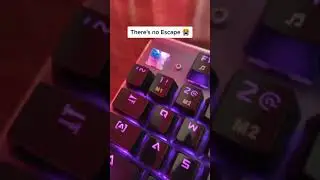 only PC users can understand
