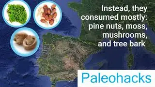 Neanderthal teeth reveal truth of the 'paleo diet'