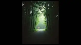 Commit Your Way - Psalm 37:5 #ChristianMusic #BibleVerses #Reflections #WorshipSongs