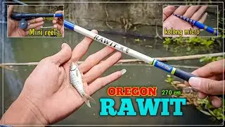 Tegek MURAH 1000 PEMINAT || Oregon Rawit