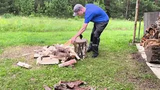 Колю сосну часть 2