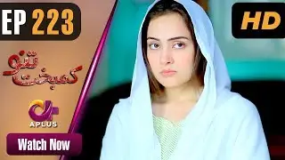 Drama | Kambakht Tanno - EP 223 | Aplus | Tanvir Jamal, Sadaf Ashaan | C2U1