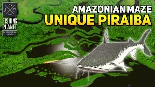 Unique Piraiba Amazonian Maze - Fishing Planet