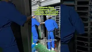 Freeze Drying Machine for Chemiclas &ndash; High Precision, Low Residue