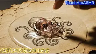 The Magic Drop A Magical Awakening From the Page! [ #thanhamasmr ] (06/112025)