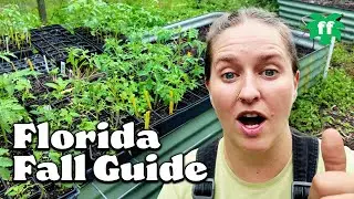 Fall Gardening in Florida