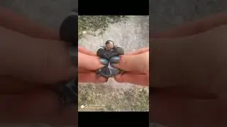 How to  make squish effect  using  pika Ai ? Squish effect turtorial ! #shorts  #trendingshorts