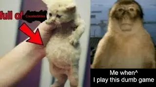 Goob.mov