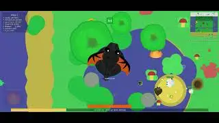 using the golden pumpkin to get black dragon in Mope.io