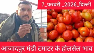 February 7, 2026 दिल्ली 🍅टमाटर के भाव azadpur Delhi mandi today #tomatomarket #delhitomatomarket