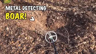 I Thought I Found A Gold Coin, For A Second… Finding Relics With Help of Animals!