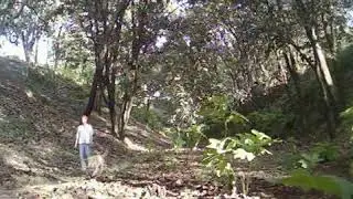 ECULTURISMO bosque la Primavera excurcion 8 caminata OLINTEOTL viajero 4x4 360p