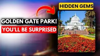 Golden Gate Park Hidden Gems You Didn&rsquo;t Know About 🌿🏛️