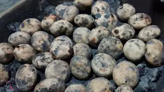 बिहारी स्टाइल लिट्टी चोखा एक बार खाए तो बार बार मन करेगा खाने को   #viralvideo #trending #food