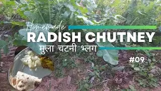 Homemade Radish Chutney(मुला चटनी भ्लग) From Soil to Harvest #09