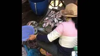Local Market in Asia
