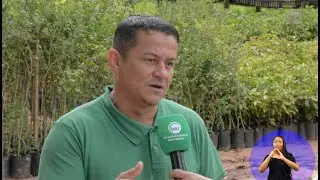 Horto municipal disponibiliza gratuitamente mudas de espécies de árvores | INFORMATIVO TVU-15/01/26