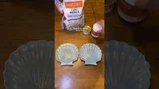 feeding my cats fancy feast #catasmr