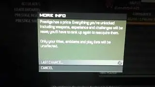 Camro440 enters 2 prestige
