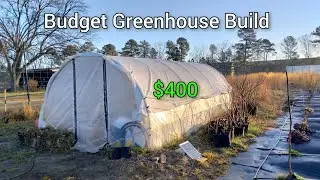 Our $400 Budget Greenhouse Build