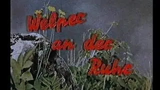 Welper an der Ruhr - Industriegemeinde im Grünen