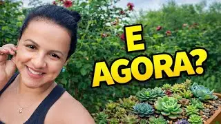 RETIRO O CANTEIRO OU DEIXO PARA O PROXÍMO MORADOR?