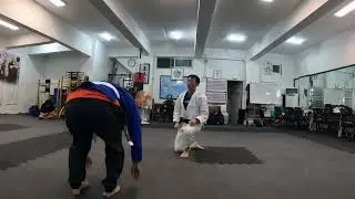 #judo #masterclass #southkorea #seoul #martialarts  #taichi #karate #balance #training #mind 