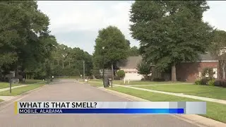 Mobile residents report foul odor; source unknown