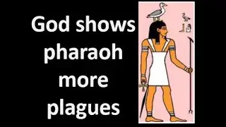 Bible study Exodus  Chapter 8 16-32 Explained