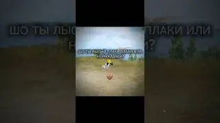 ЖИЗА #phonkp #мем #золото #memes #metroroyal #разнесли #automobile #roblox #pubgmobile